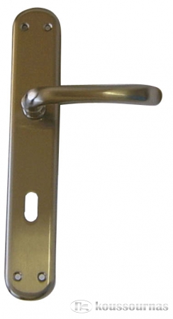 55. Χερούλι πλάκα 400 LAM SN και 500 SN